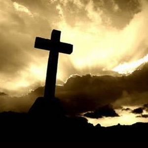 Meet your Posher, Liz